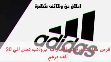 شركة أديداس 1