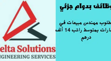 شركة دلتا سوليوشنز للخدمات الهندسية