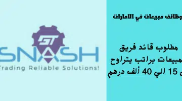 شركة سناش جي تي 3M للسيارات