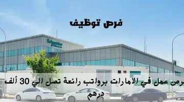 شركة شنايدر إليكتريك 2