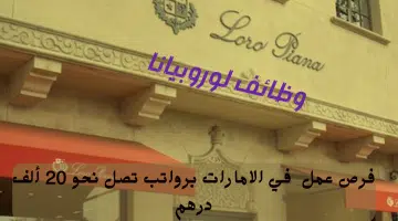 شركة لورو بيانا 1