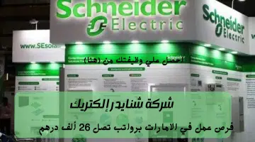 شنايدر إليكتريك