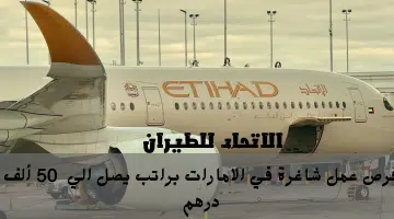 مجموعة أزاديا 2