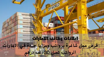 موانئ دبي العالمية 4