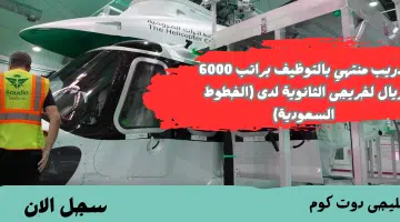 الطيران