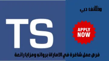 شركة ترانس سكيلز