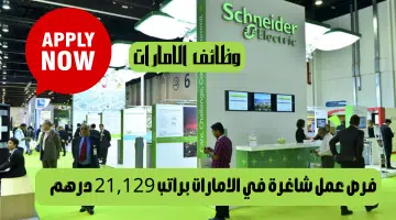 شركة شنايدر أليكتريك