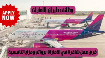 شركة طيران ويز