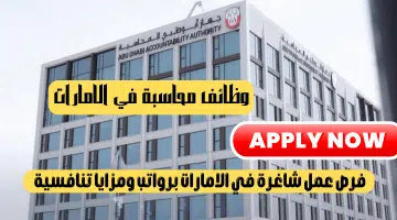 هيئة المحاسبة الإماراتية