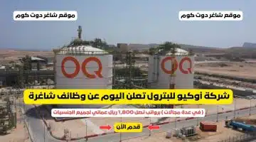 شركة أوكيو للبترول تعلن اليوم عن وظائف شاغرة