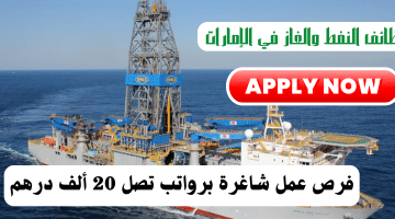 وظائف النفط والغاز في الإمارات من شركة نويل براتب يصل 20 ألف درهم