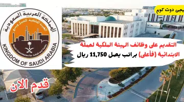 الملكية2 1