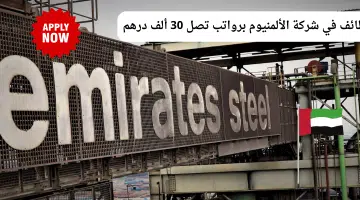 حديد الامارات