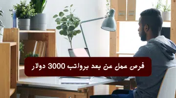 وظائف من المنزل في الكويت