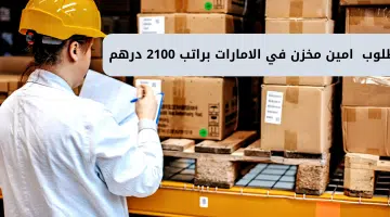 شركة دي إس لايت