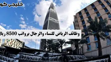 وظائف الرياض للنساء والرجال برواتب 8500 ريال
