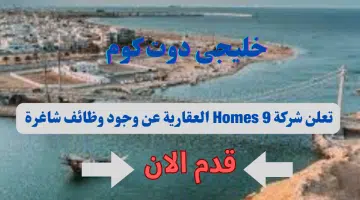 اعلنت شركة 9 Homes العقارية عن وجود وظائف شاغرة لديها برواتب تنافسية جيده لجميع الجنسيات لعام 2024