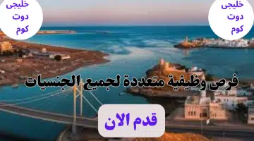 اعلنت شركة الثبات القابضة عن وجود فرص وظيفيه لديها برواتب تنافسية جيدة لجميع الجنسيات لعام2024