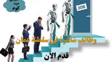 اعلنت مؤسسة أوتورد باوند عُمان عن وجود وظائف شاغرة لديها برواتب تنافسية جيدة لجميع الجنسيات لعام 2024
