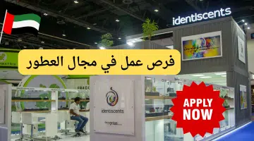 تصميم بدون عنوان 12 1