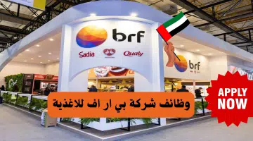 شركة بي ار اف للاغذية