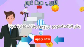 يعلن الباكت استوديو عن وجود وظائف شاغرة لديه برواتب تنافسية جيدة لجميع الجنسيات لعام 2024