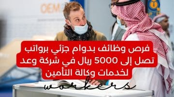 وظائف بدوام جزئي برواتب تصل إلى 5000 ريال في شركة وعد لخدمات وكالة التأمين