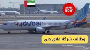 فلاي دبي