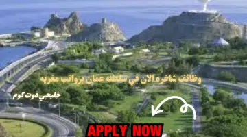 وظائف شاغره في سلطنه عمان لدي شركة التوصيل السحري برواتب جيدة لجميع الجنسيات