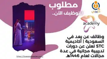 وظائف عن بعد في السعودية أكاديمية STC تعلن عن دورات تدريبية مجانية في عدة مجالات لعام 1446هـ