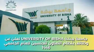 جامعة بيشة university of bisha تعلن عن وظائف بنظام التعاون للجنسين للعام الجامعي 1446