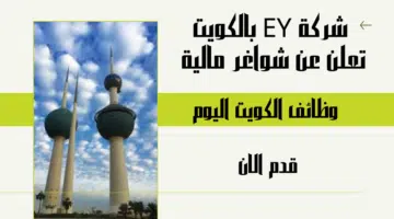 شركة EY بالكويت تعلن عن شواغر مالية لعدة تخصصات برواتب تنافسية مميزة تصل الي1300 دينار كويتي