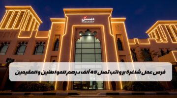 وظائف دبي القابضة