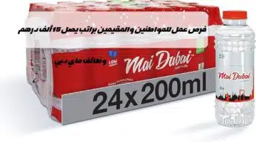وظائف شركة ماي دبي