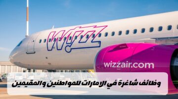 وظائف طيران ويز