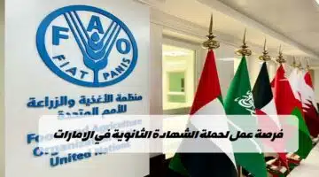 وظائف منظمة الفاو