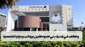 وظائف بلدية دبي