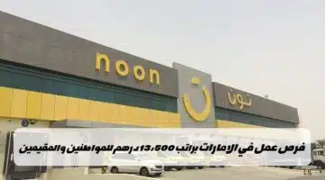 وظائف شركة نون