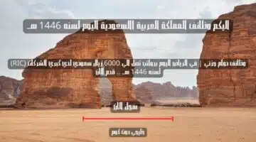 وظائف دوام جزئي في الرياض اليوم برواتب تصل الي 6000 ريال سعودي لدي كبري الشركات RIC لسنه 1446 هــ . قدم الان