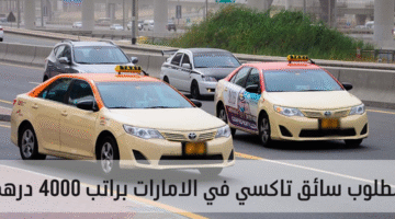 سائق في الامارات