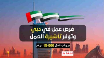 فرص عمل في دبي 1