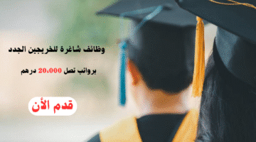 وظائف شاغرة للخريجين الجدد