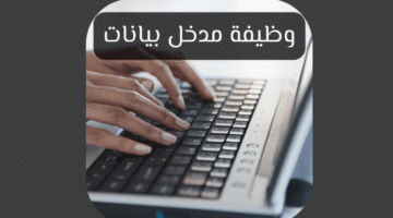 مدخل بيانات