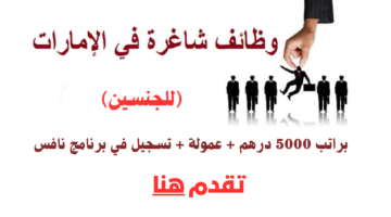 وظائف مبيعات