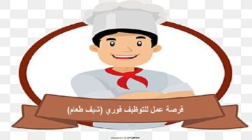 شيف طعام