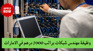 مهندس شبكات