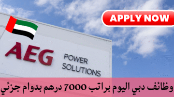 شركة حلول الطاقة AEG