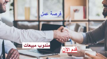 مندوب مبيعات