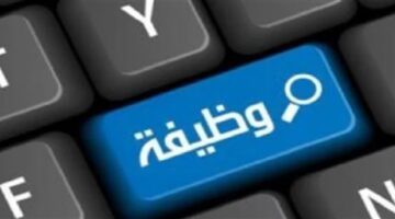 وظيفة