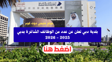 بلدية دبي
